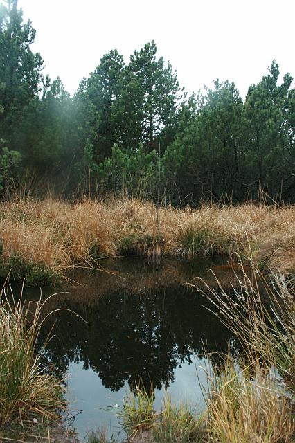 Schliffkopf 2007 Bild Nr 15